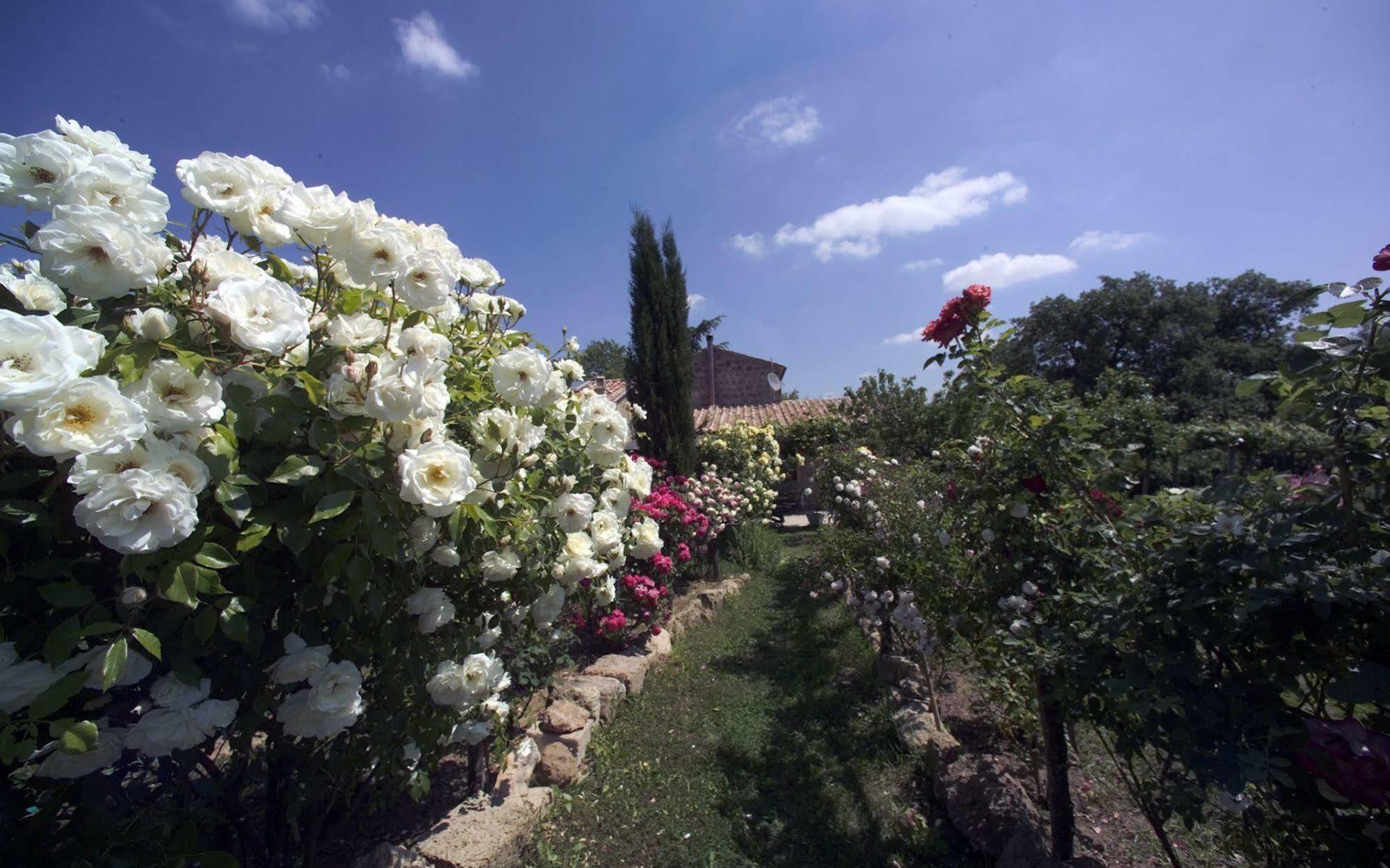 Locanda Ilune Pitigliano Exterior foto